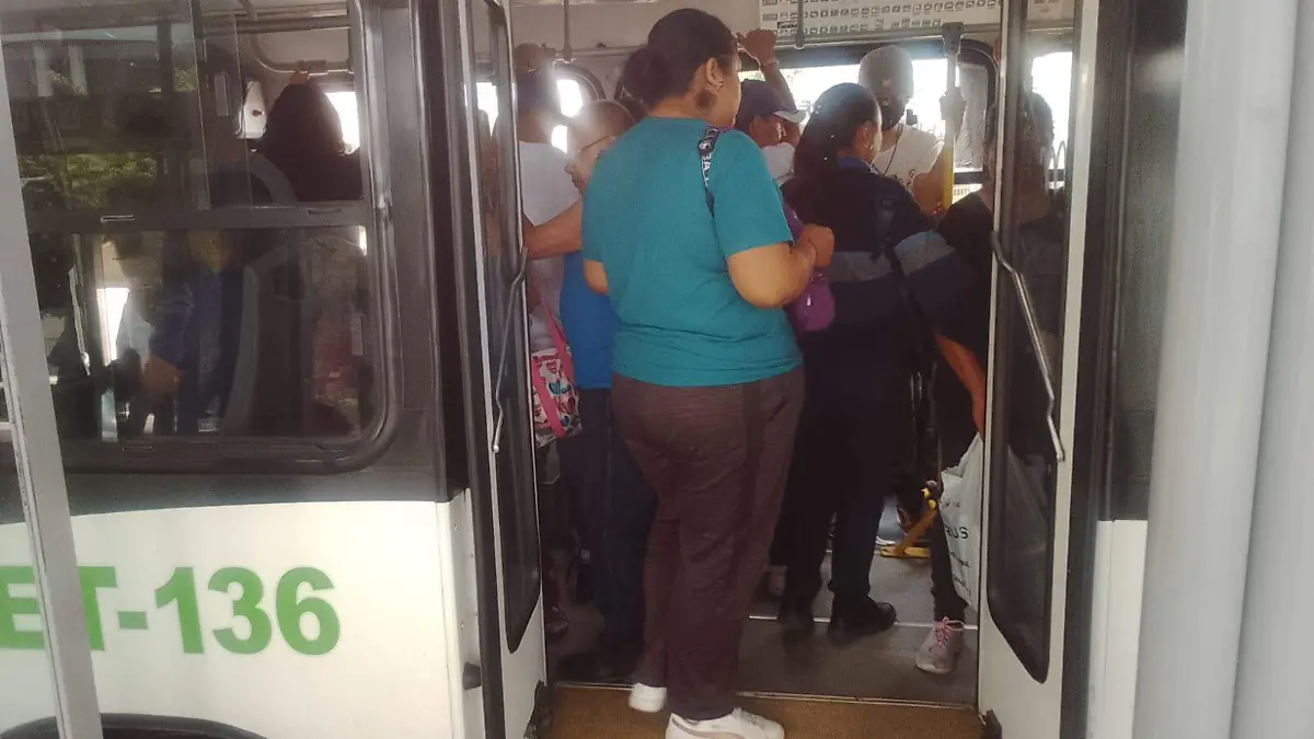 ROSARIO HORTA autobusesWhatsApp Image 2026-07-10 at 3.06.06 PM