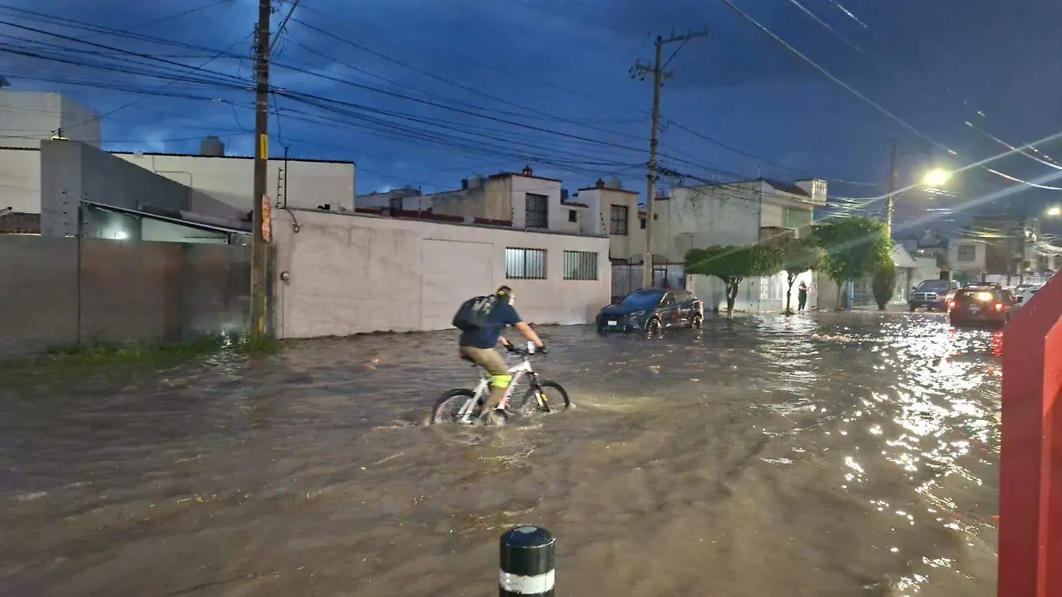 JORGE HERNANDEZ