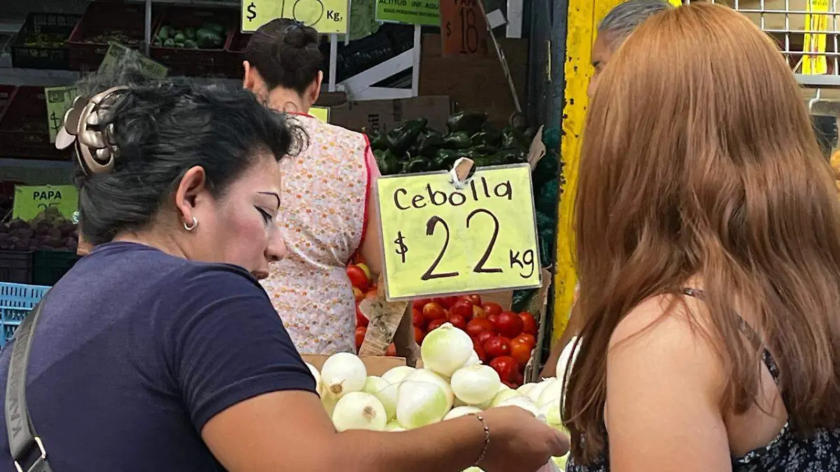 ROSARIO HORTA- CEBOLLAS (3)