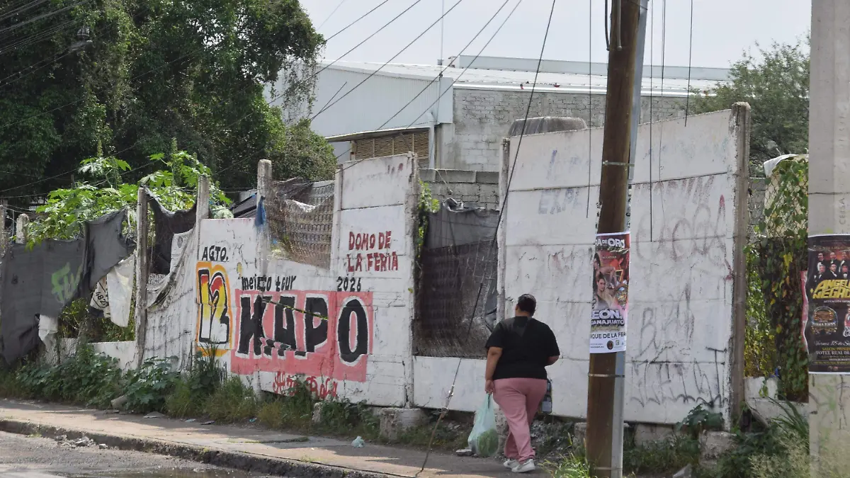 F CARMONA DEMOLICIONES BARDAS (11)