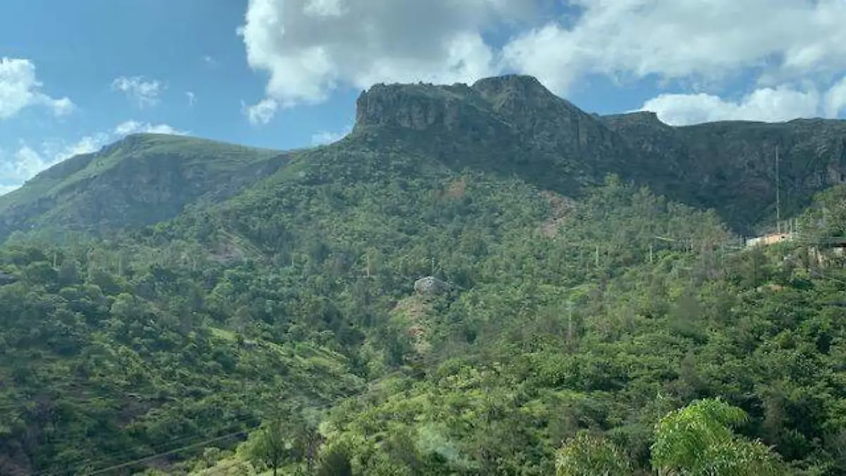 Guanajuato – ¿Qué tan fácil es declarar un Área Natural Protegida Conoce el proceso para La Bufa