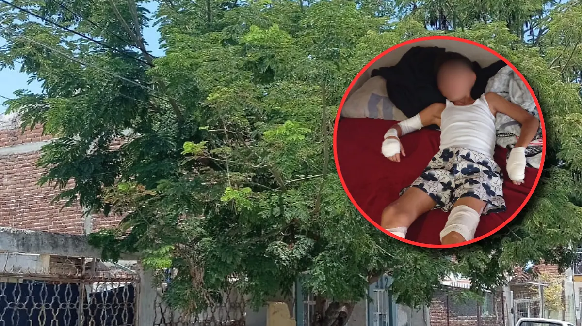 &brie