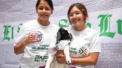 Circuito running El Sol de San Luis 2025