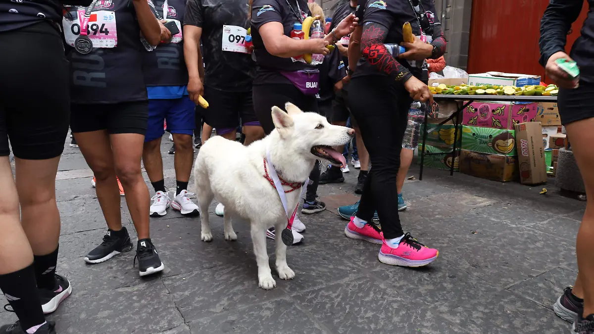 Carrera El Sol de Puebla 2026 
