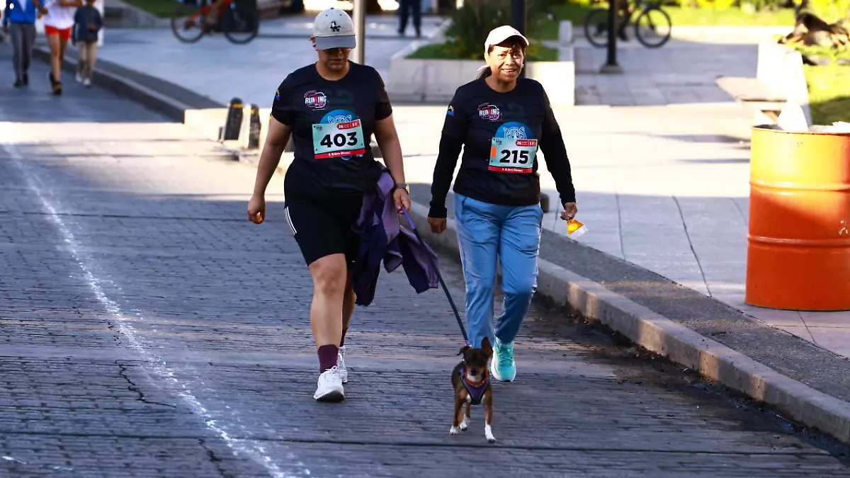 Carrera El Sol de Hidalgo 2026