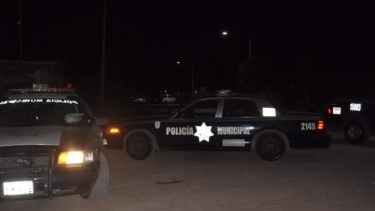 WhatsApp Image 2024-05-07 at 12.14.46 PM