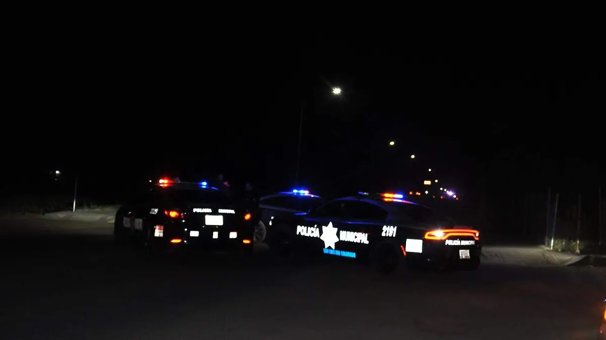 2aaf056d-6145-4fb6-87fa-c095ac9238b9