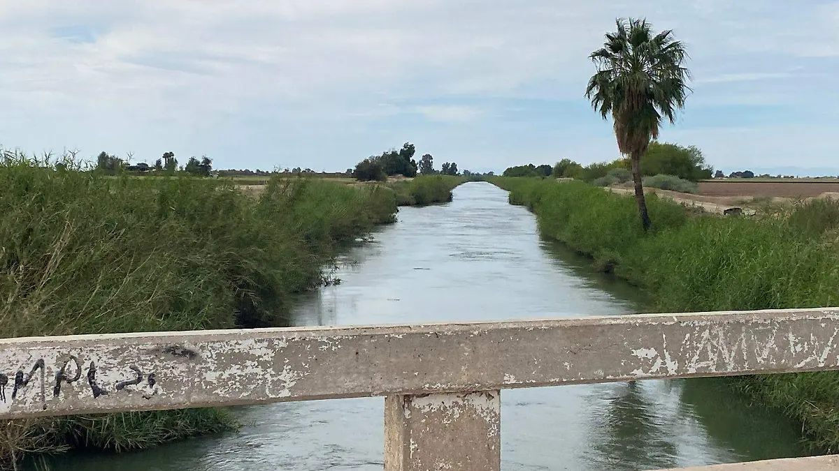 Los canales de riego dotan de agua para uso agrícola 01