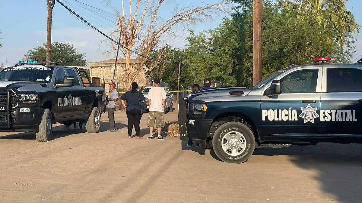 WhatsApp Image 2024-07-25 at 6.37.16 PM