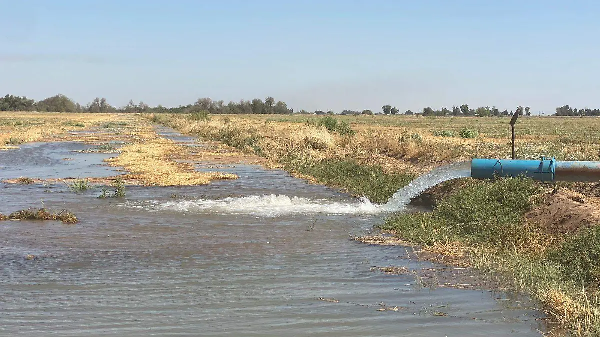 Aceptan productores plan de descanso de tierras