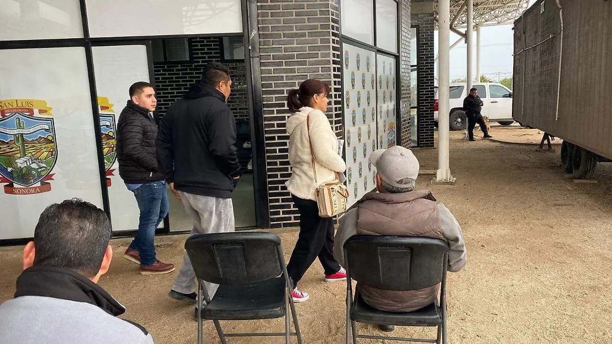 ¡Se cae sistema del Repuve!