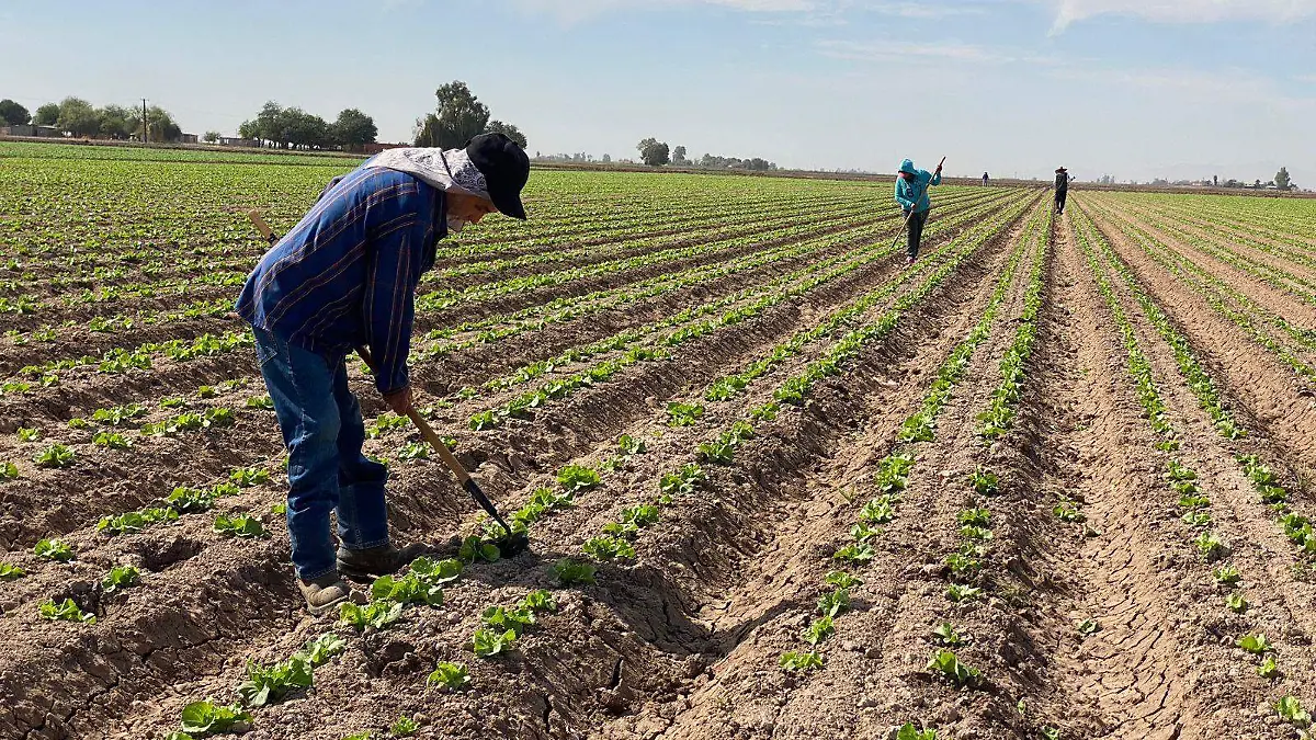 Aumento salarial podría impactar en la frontera