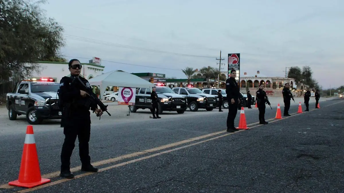 WhatsApp Image 2024-01-29 at 5.25.47 PM