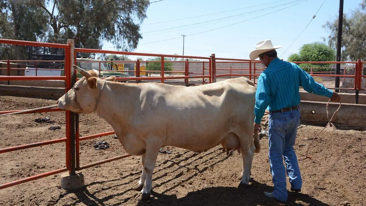 Ganaderos de San Luis preparan asamblea