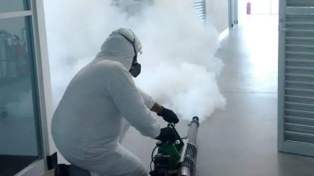 fumigaciones (2)