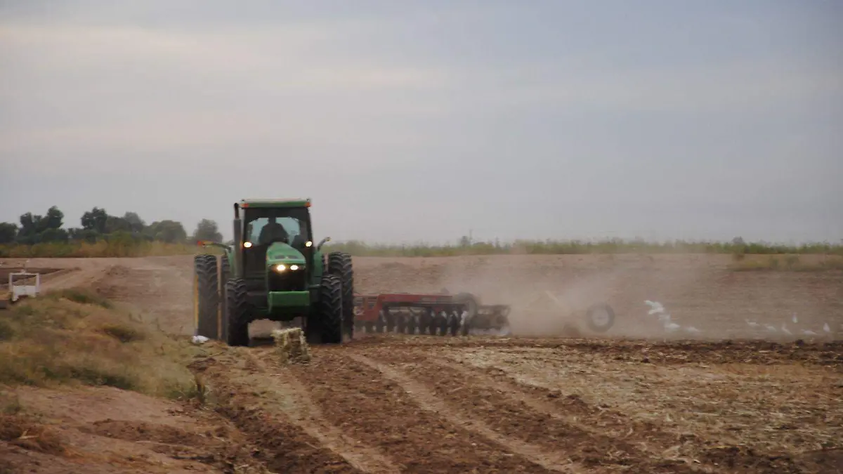 Módulos de Riego lanzan células de cultivo
