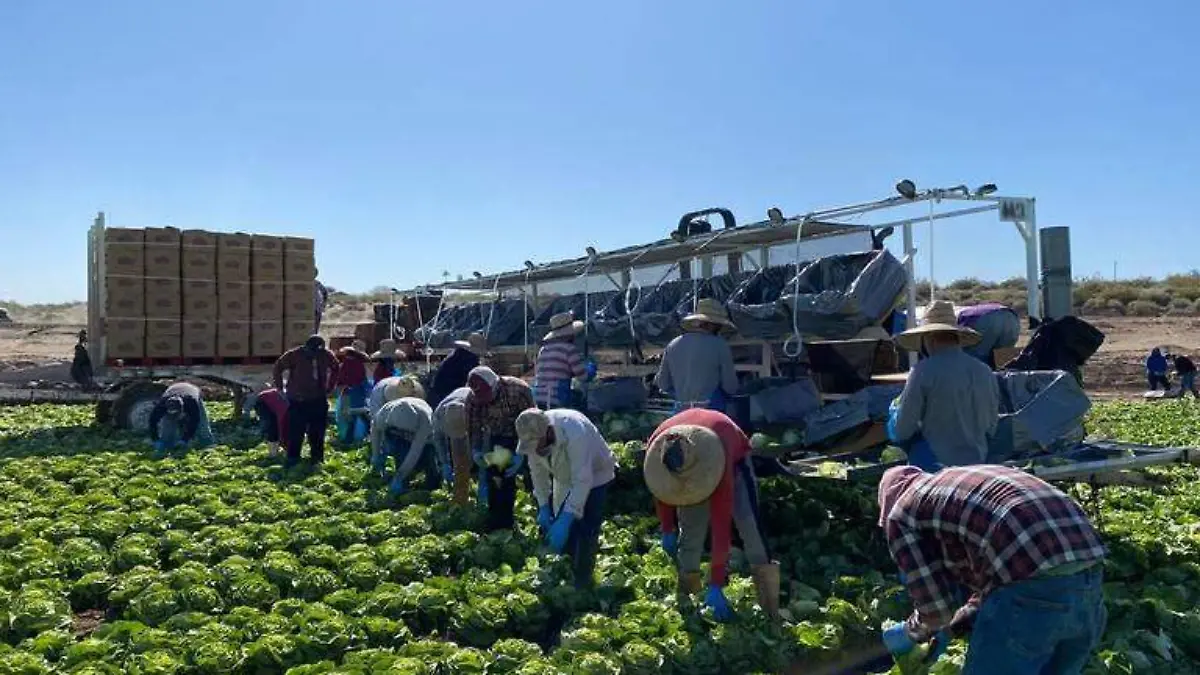 Por-lo-menos-300-personas-esperan-trabajo-en-EU