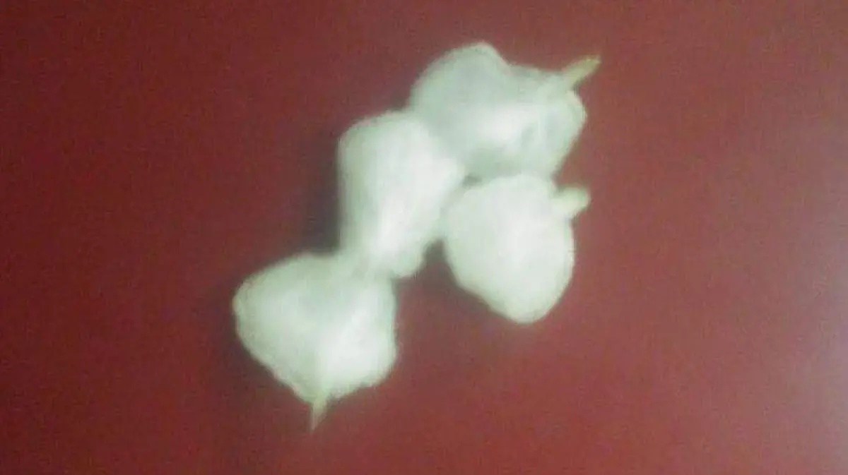 WhatsApp Image 2018-11-13 at 5.17.41 PM