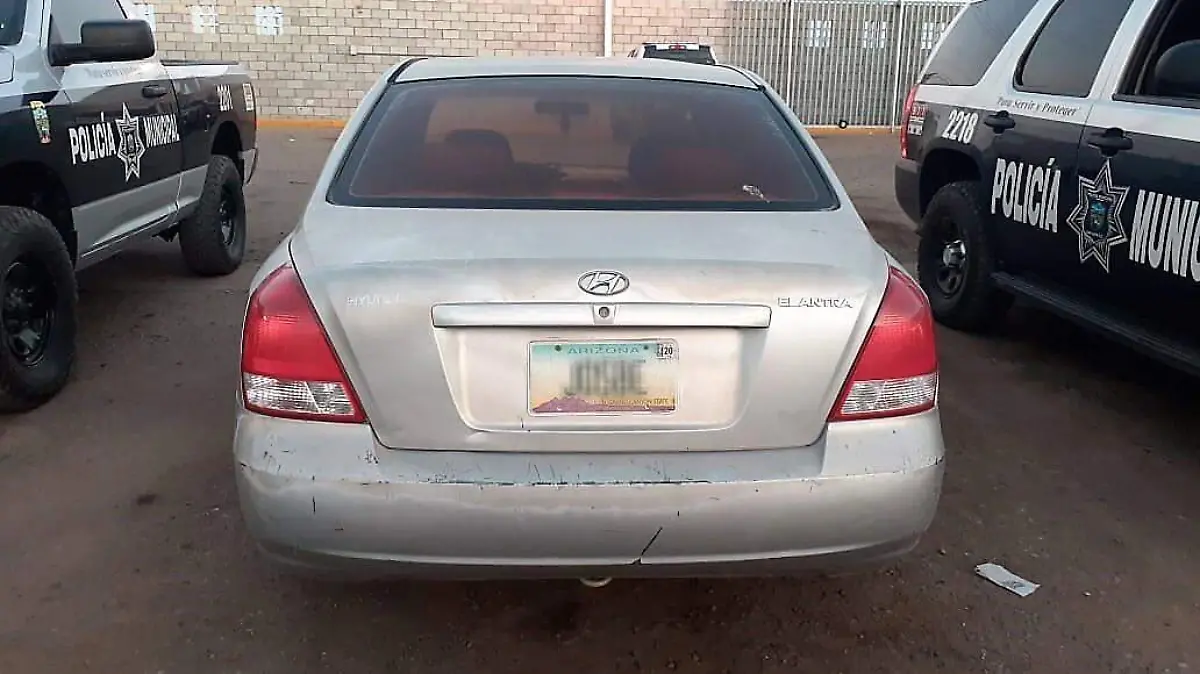 ed225452-27ba-4f31-83d4-eaf9c82854ec