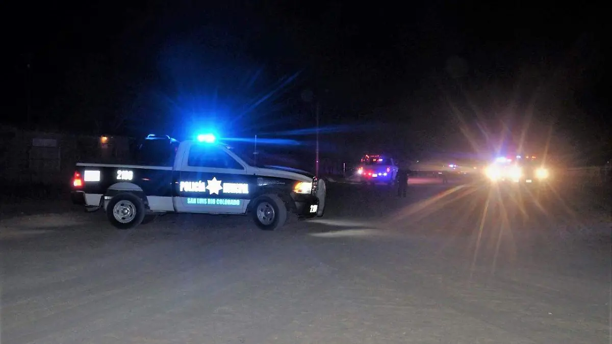 e94b0e4d-cbf7-45a1-b612-19afe645574d