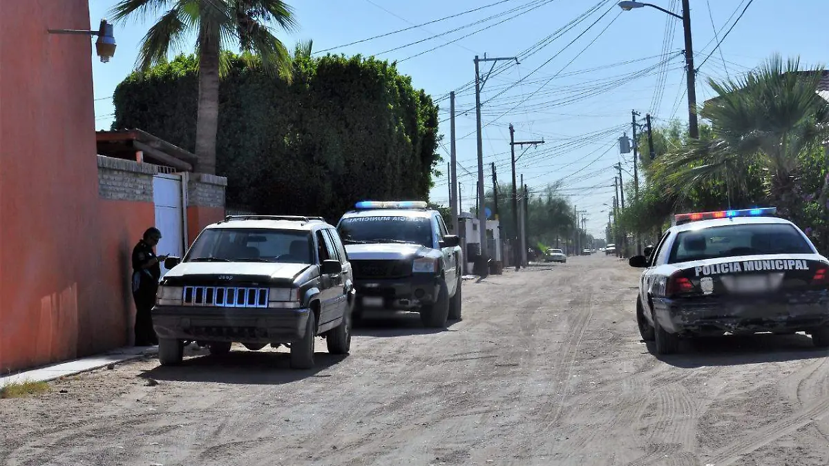 WhatsApp Image 2021-12-29 at 12.21.45 PM