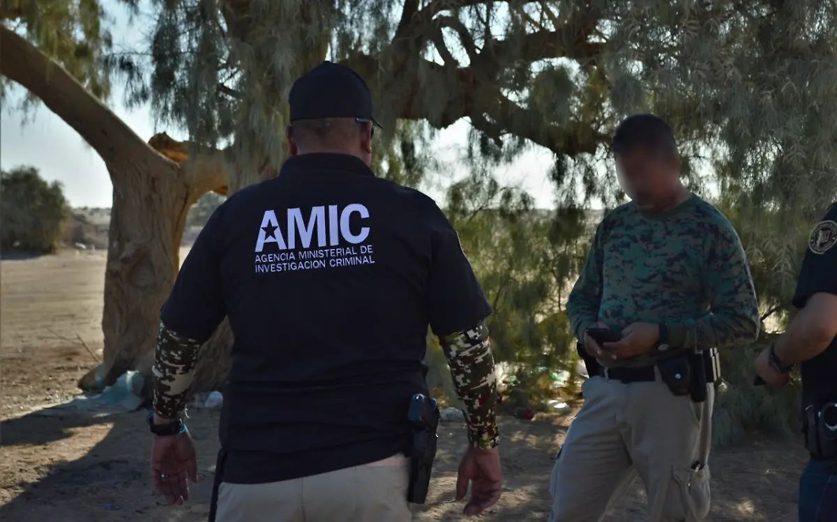 AMIC