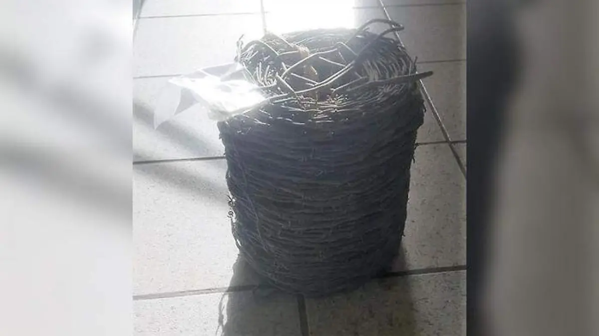 aa713ddd-3106-499e-bf20-f5860d6295a4