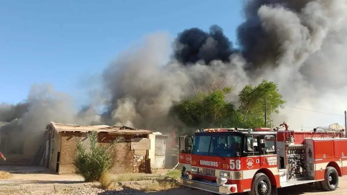 WhatsApp Image 2023-10-31 at 11.29.48 AM