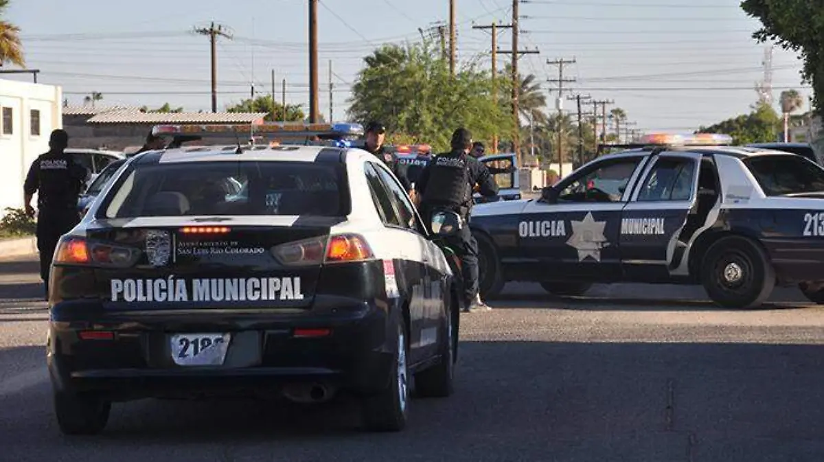 WhatsApp Image 2019-06-10 at 5.08