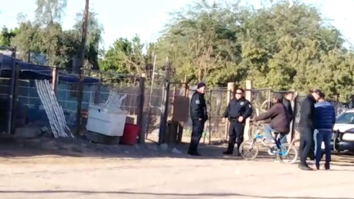 WhatsApp Image 2018-11-24 at 10.55.13 AM