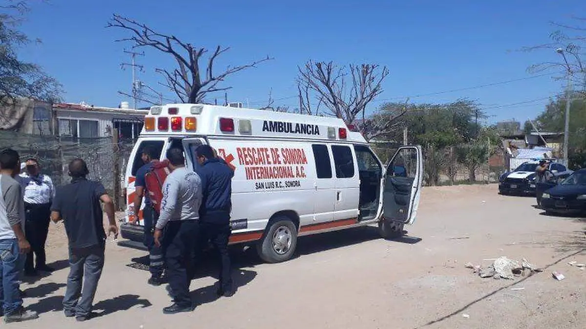 WhatsApp Image 2019-03-23 at 3.45.51 PM