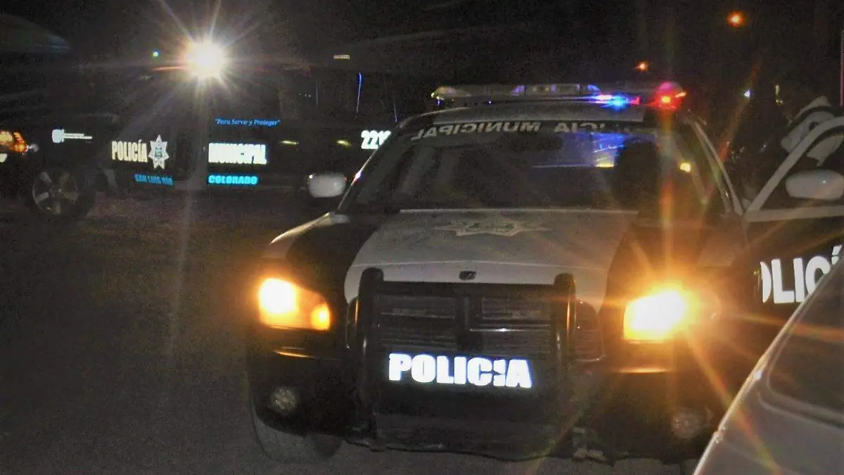 d4241337-82c1-4fdb-960a-5f438963bb6b