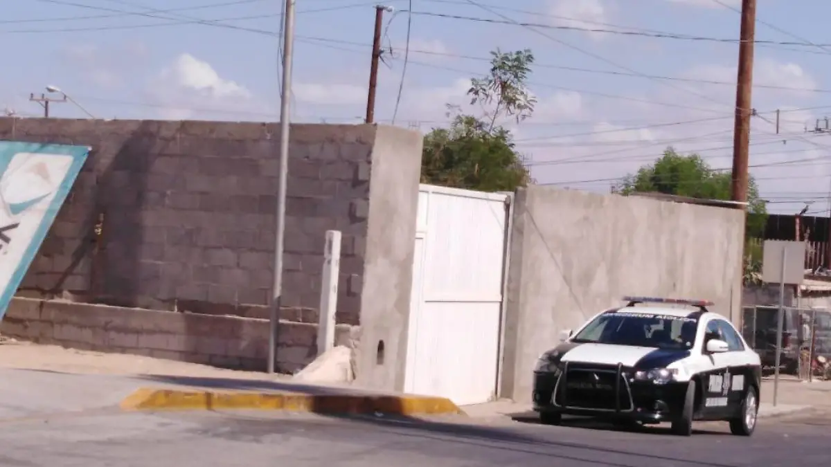 WhatsApp Image 2018-08-16 at 10.25