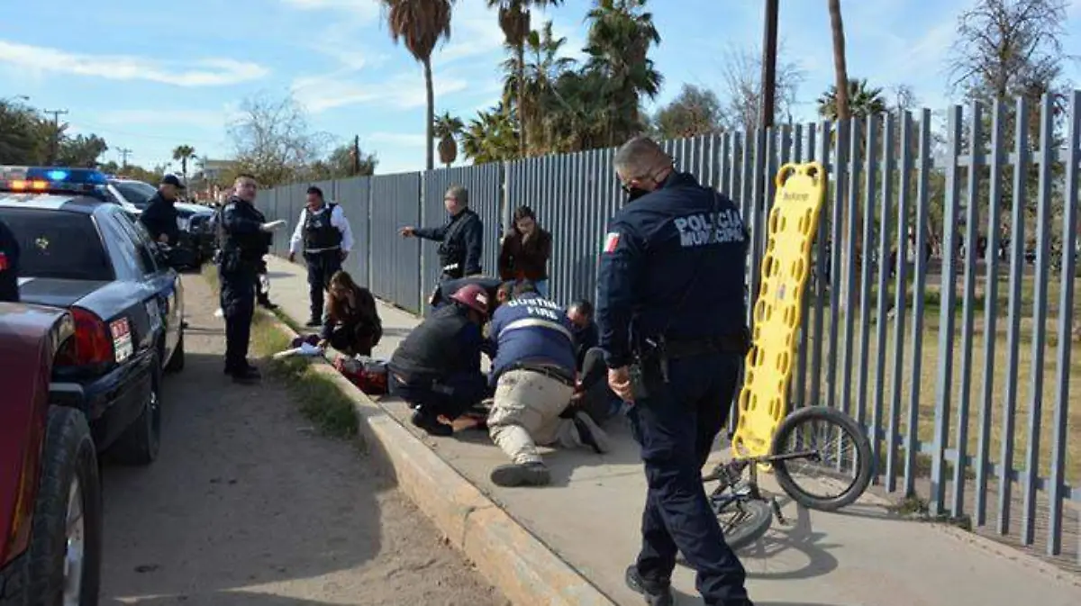 WhatsApp Image 2020-01-17 at 1.11