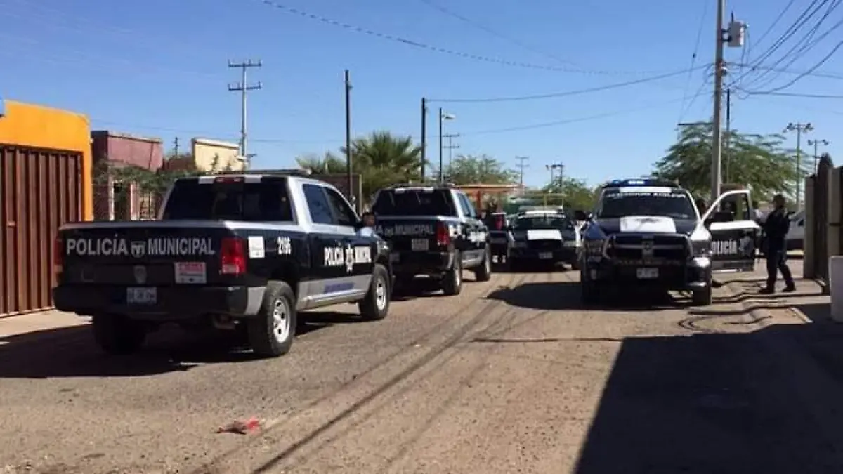 48378647_1410355255767066_3068566460101033984_n