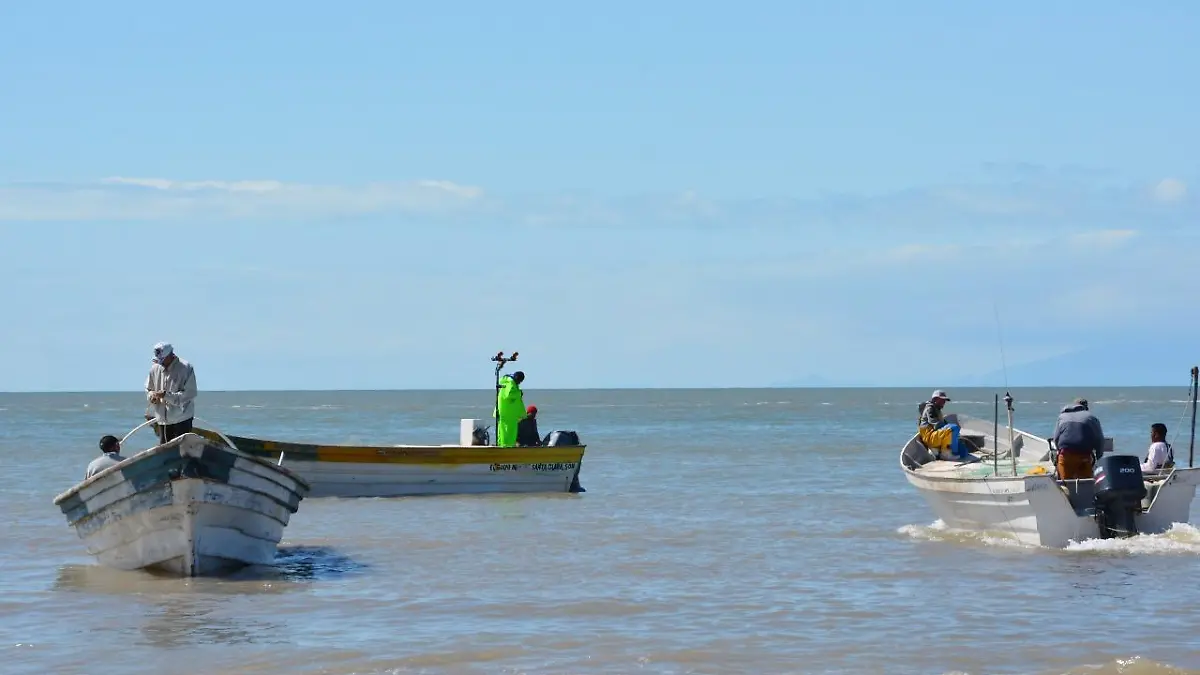 pesca-golfo-de-santa-clara