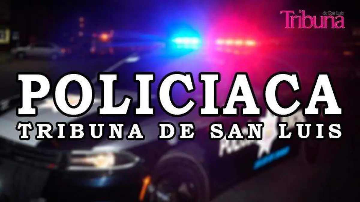 POLICIACA2