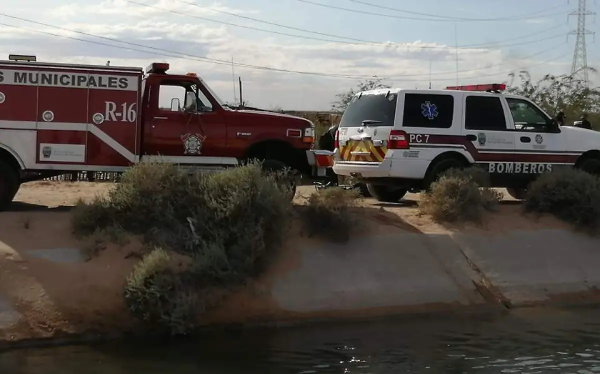 81902780_1444883552336265_1918737855933317120_n