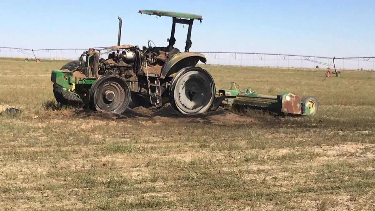 WhatsApp Image 2023-10-31 at 10.28.57 AM