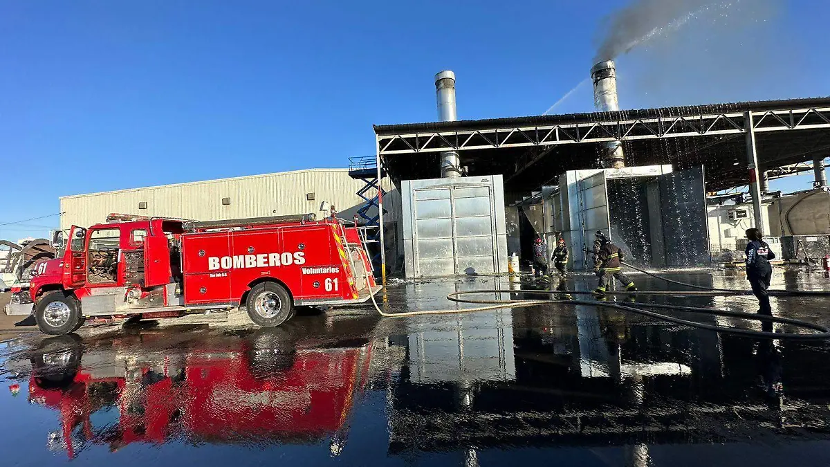 WhatsApp Image 2023-02-08 at 5.55.43 PM