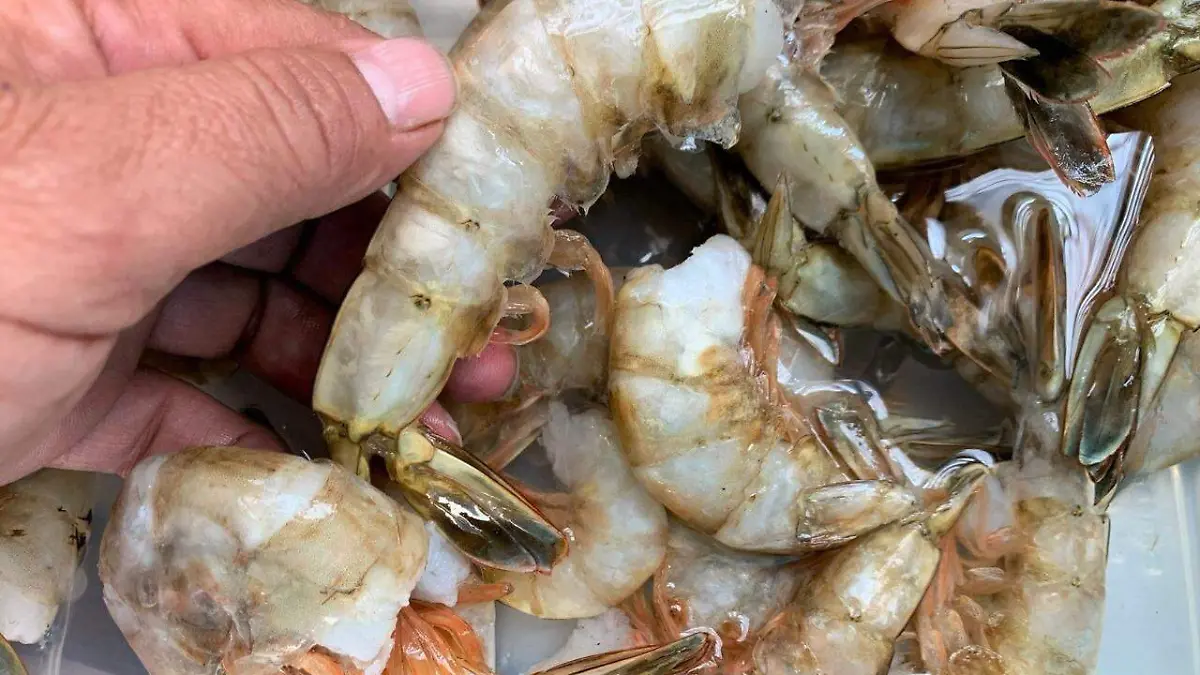 El precio ha aumentado, y es lo único positivo de  la problemática