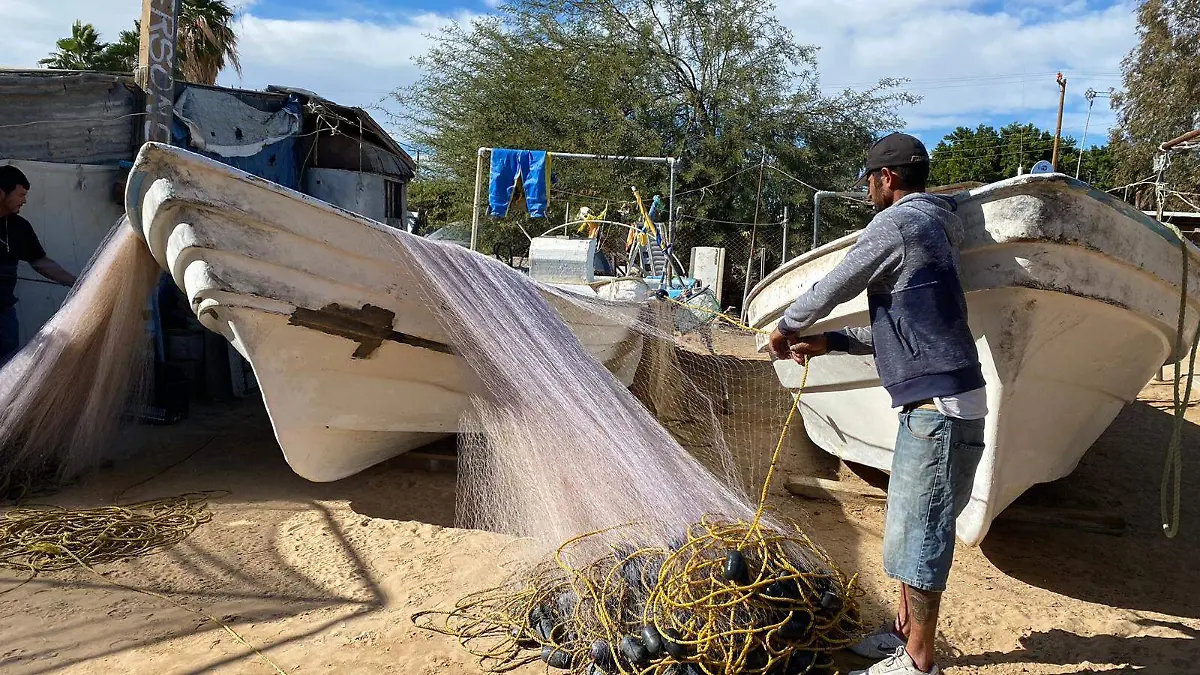 Sonora-destaca-a-nivel-nacional-en-pesca-2