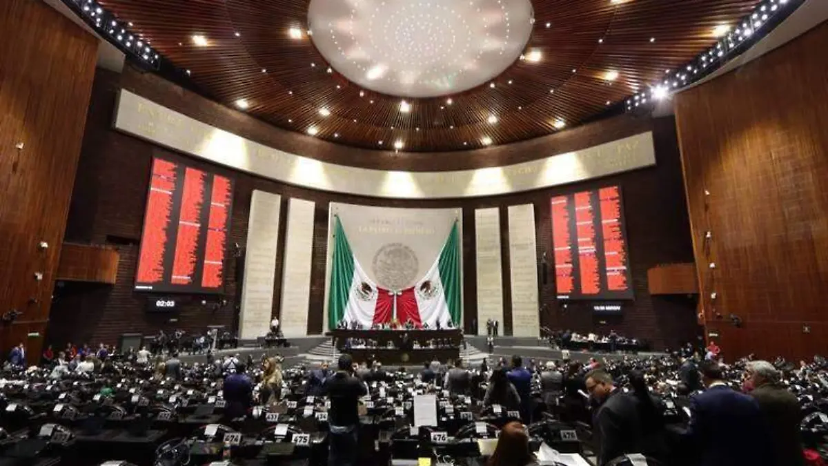 WhatsApp Image 2022-12-18 at 10.13.43 AM