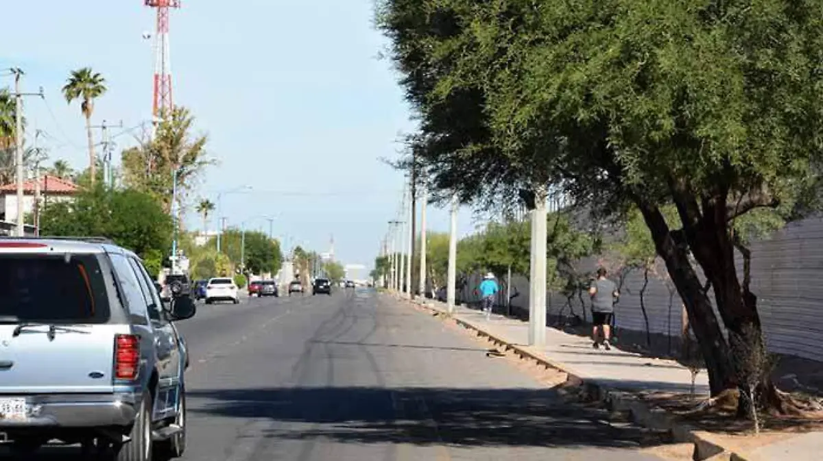 WhatsApp Image 2019-06-05 at 12.26