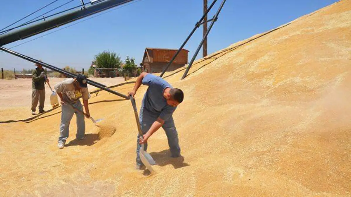 c868907e-fd9f-4d31-9e5f-cea230d2ab94