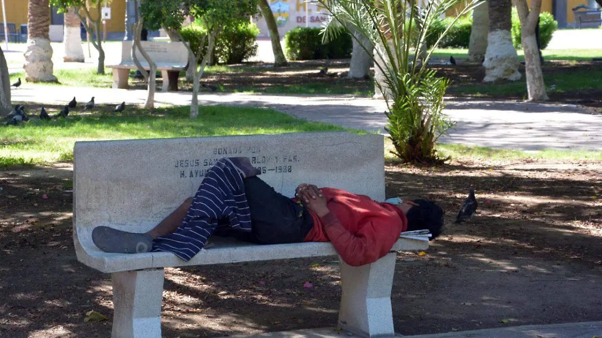 WhatsApp Image 2020-07-20 at 1.56.38 PM