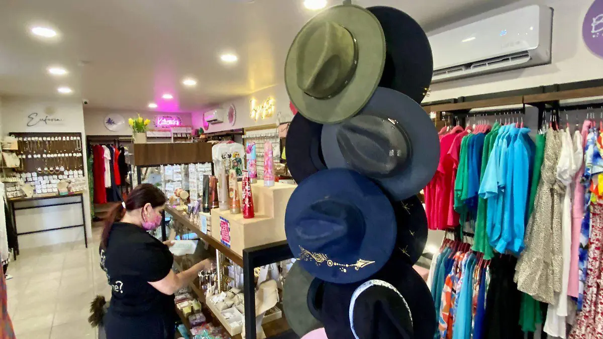 Vive San Luis auge de colectivos