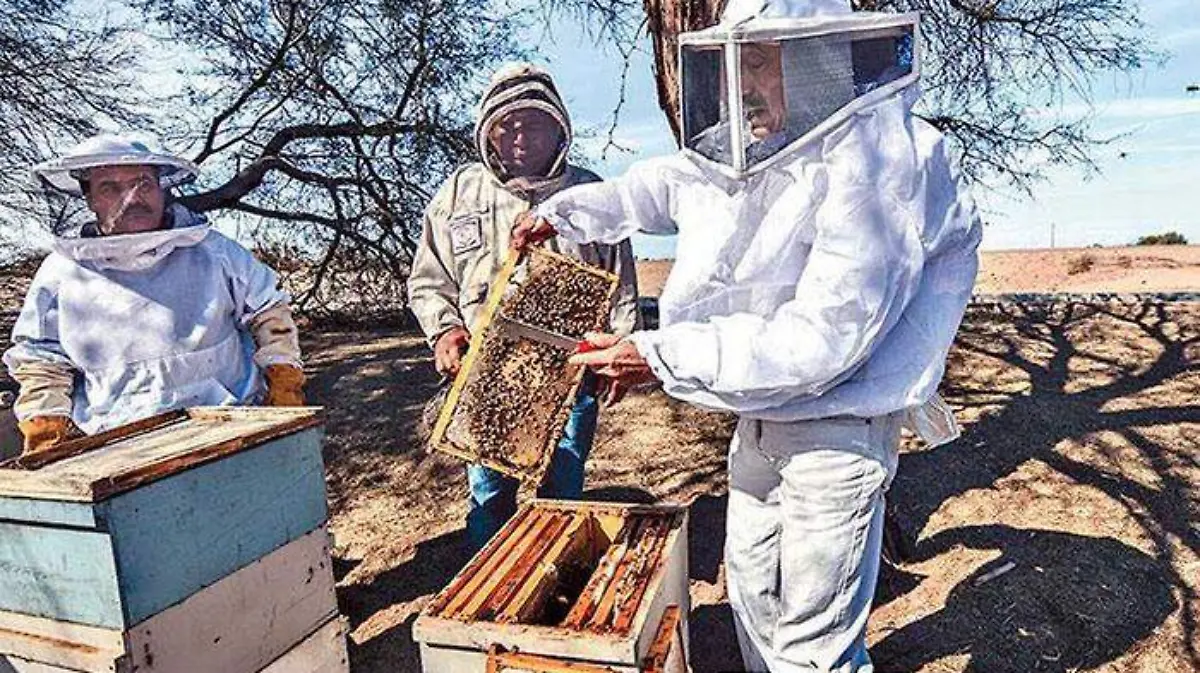 WhatsApp Image 2019-10-30 at 10.06