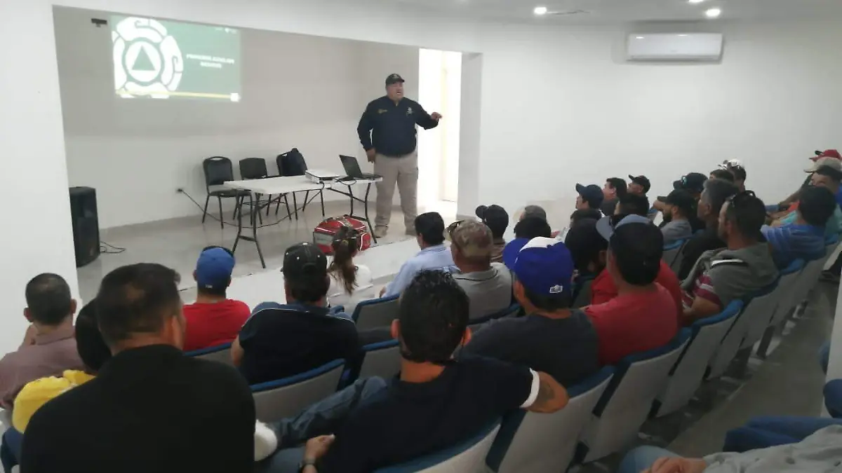 ¿Ataques de tiburón en el Golfo de Santa Clara?