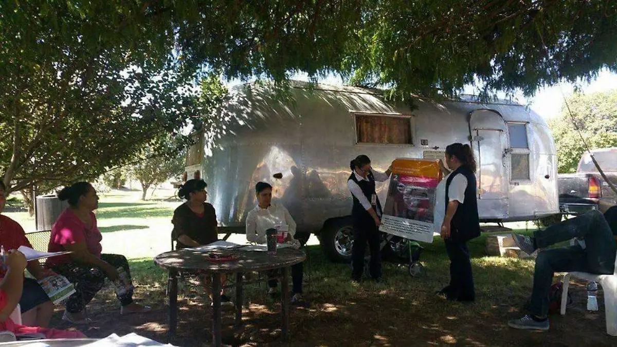 WhatsApp Image 2019-03-19 at 2.36.05 PM